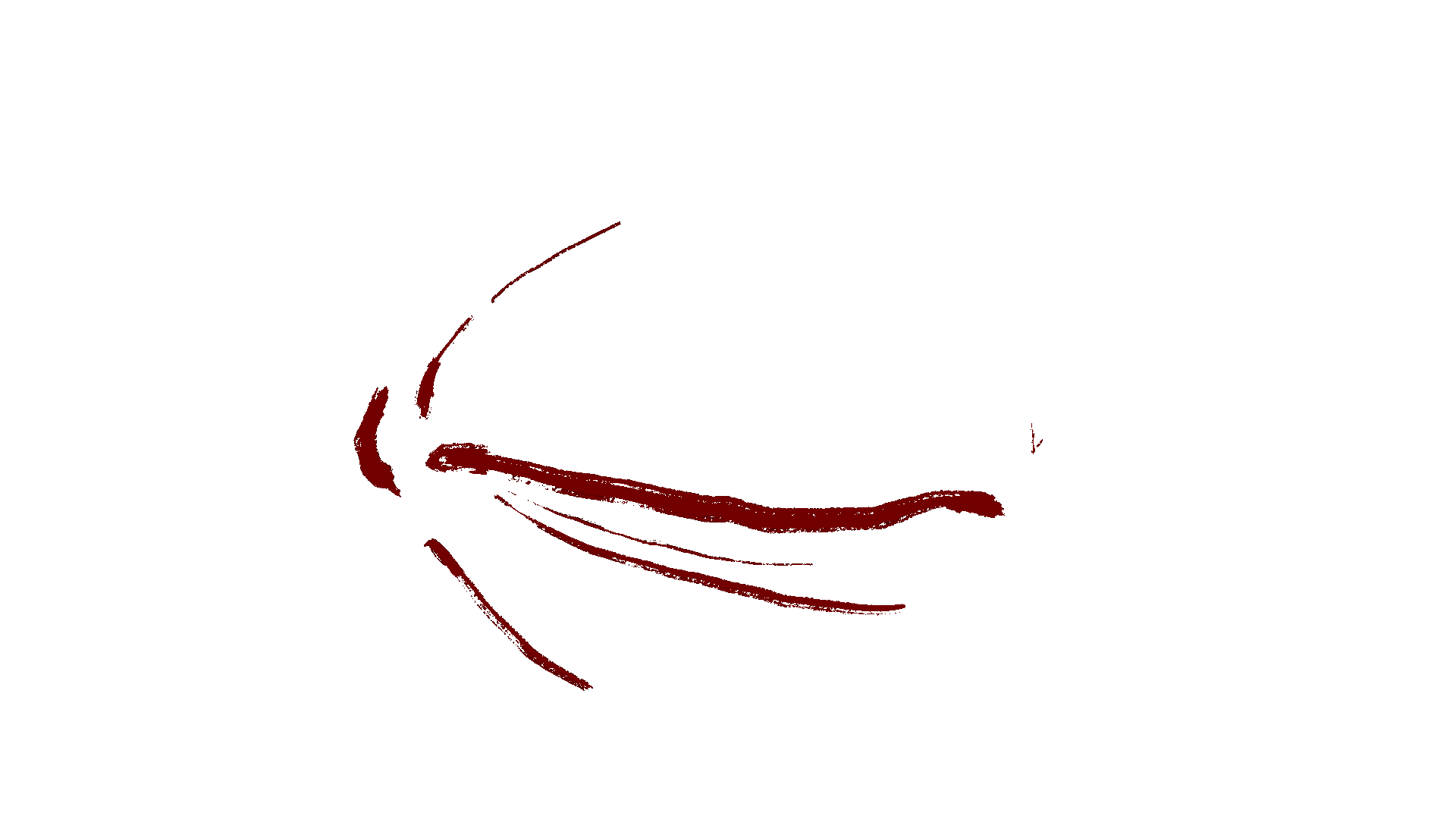 Oko GIF