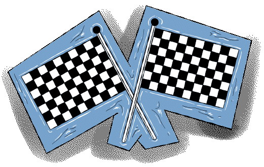 Anet Flag