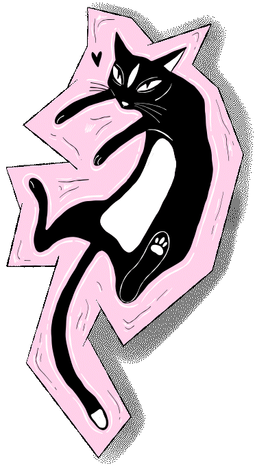 Bára Cat